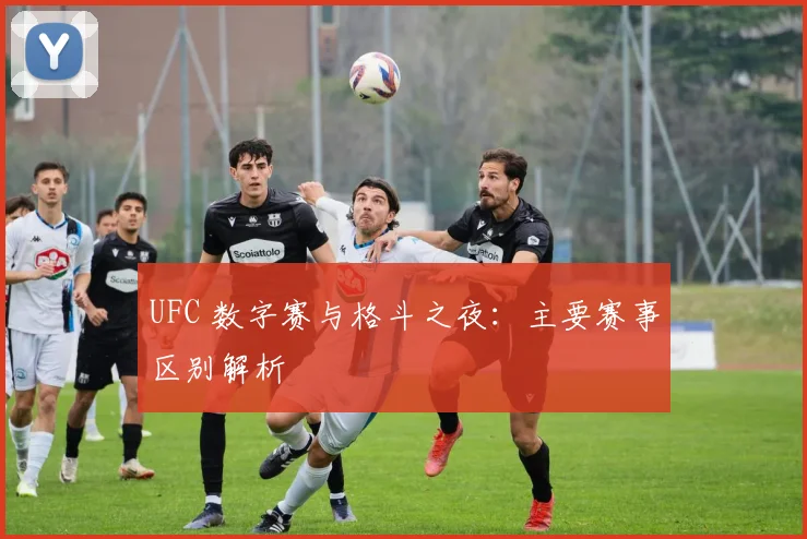 UFC 数字赛与格斗之夜:主要赛事区别解析