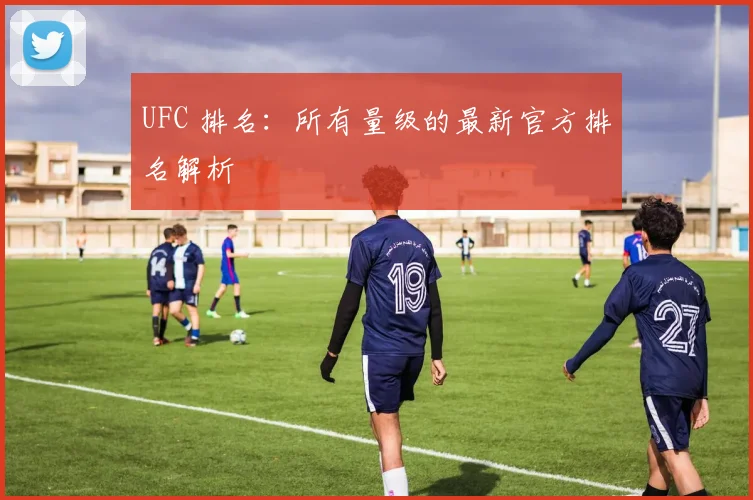 UFC 排名:所有量级的最新官方排名解析