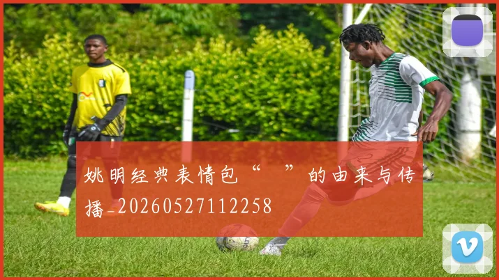 姚明经典表情包“囧”的由来与传播_20260527112258