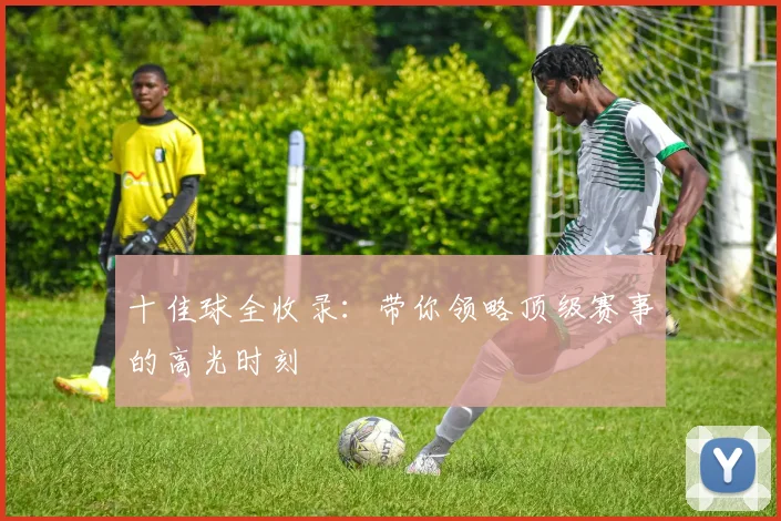 十佳球全收录：带你领略顶级赛事的高光时刻