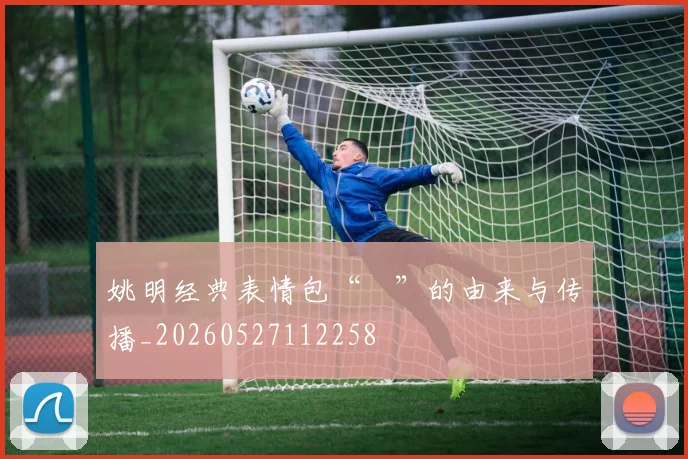 姚明经典表情包“囧”的由来与传播_20260527112258